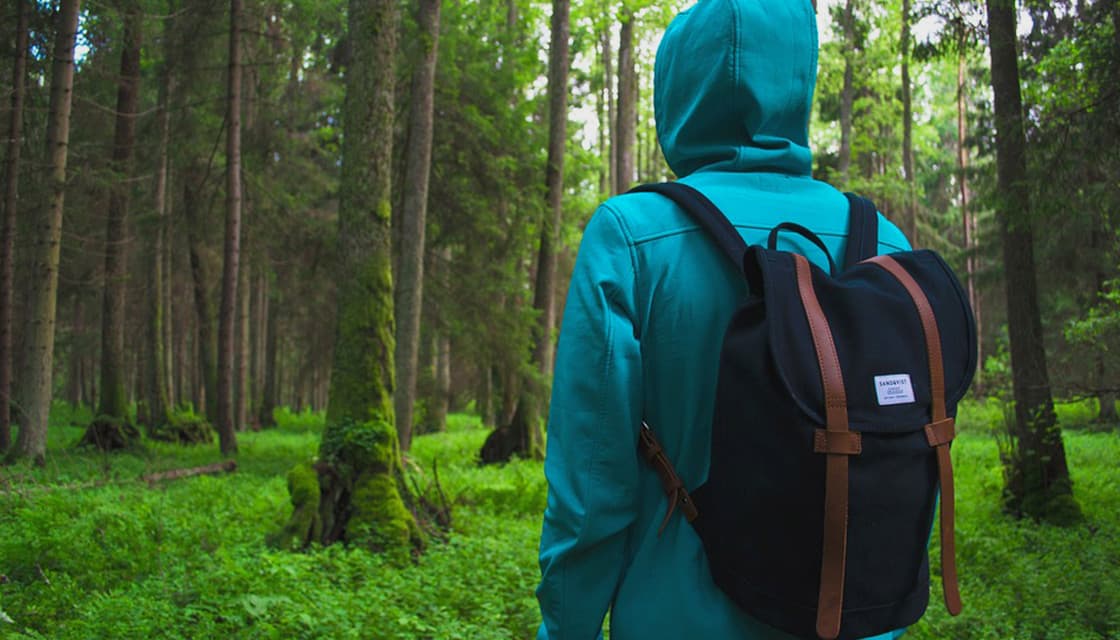 Naturvärdesinventering — NVI hero