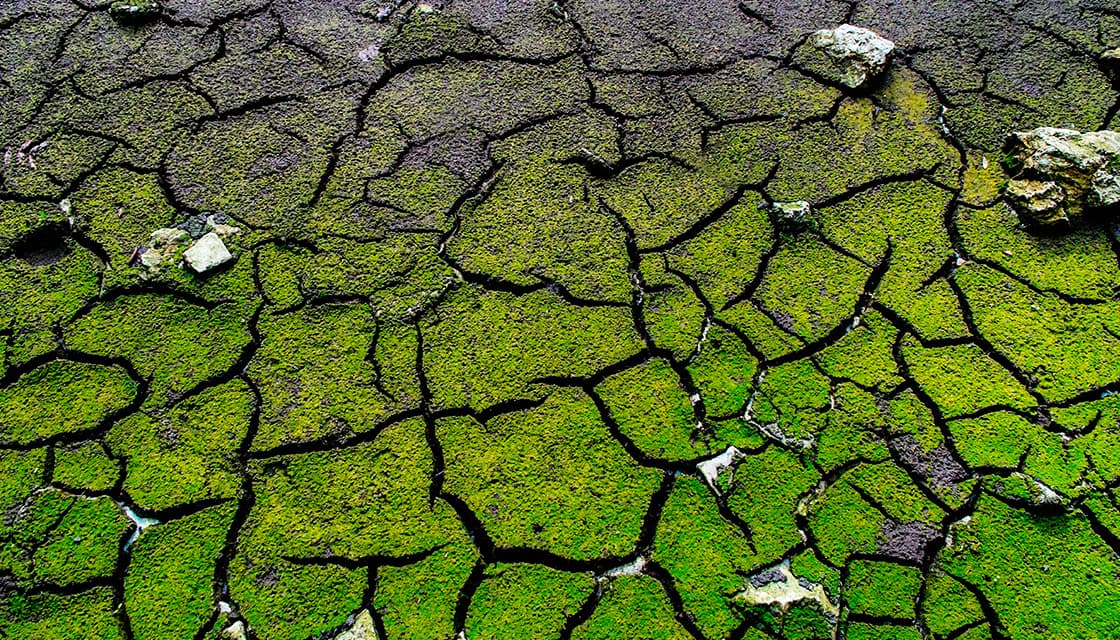 Förorenade områden hero